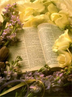The Bible